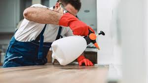 Emergency Pest Control Services in Telford, PA